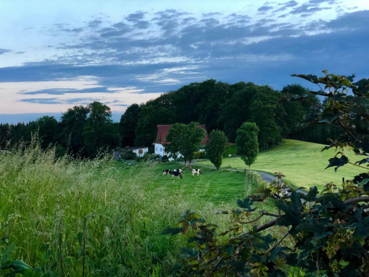 4-Zimmer Apartment Auf Resthof Halver Eksteriør bilde