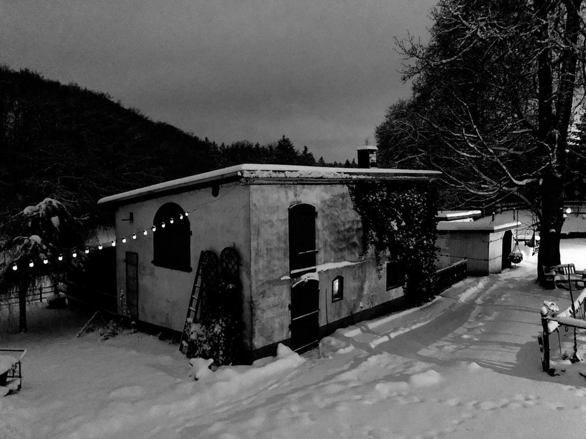 4-Zimmer Apartment Auf Resthof Halver Eksteriør bilde